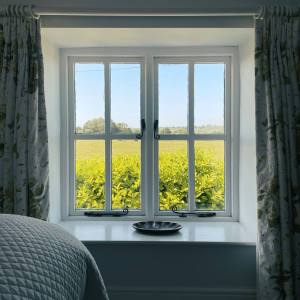 Bedroom with large window